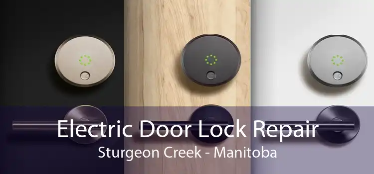 Electric Door Lock Repair Sturgeon Creek - Manitoba
