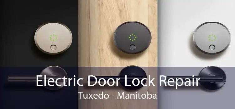 Electric Door Lock Repair Tuxedo - Manitoba