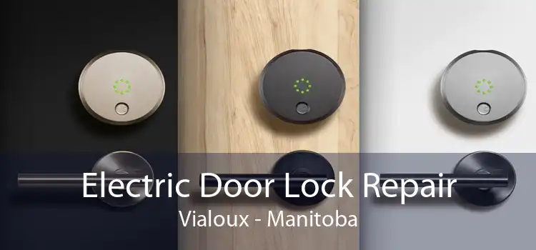 Electric Door Lock Repair Vialoux - Manitoba