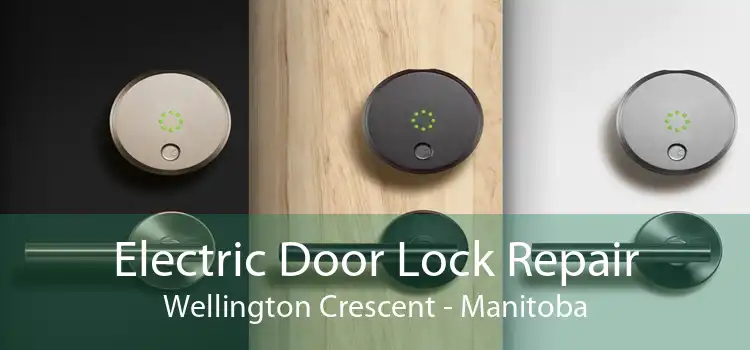 Electric Door Lock Repair Wellington Crescent - Manitoba