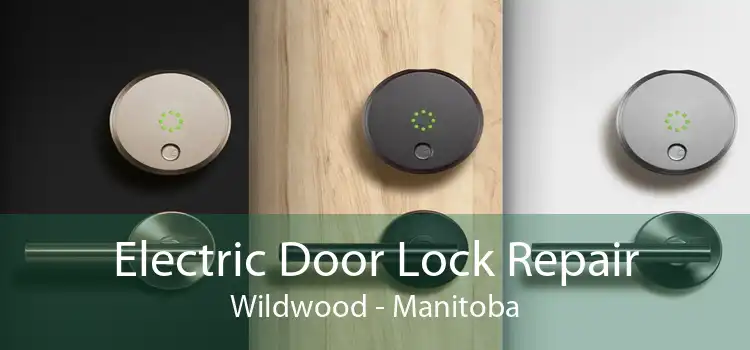 Electric Door Lock Repair Wildwood - Manitoba