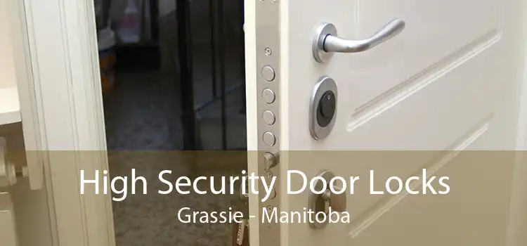 High Security Door Locks Grassie - Manitoba