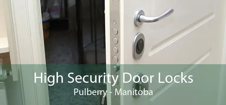High Security Door Locks Pulberry - Manitoba