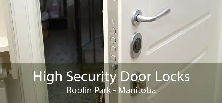 High Security Door Locks Roblin Park - Manitoba