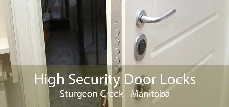 High Security Door Locks Sturgeon Creek - Manitoba