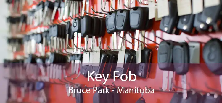 Key Fob Bruce Park - Manitoba