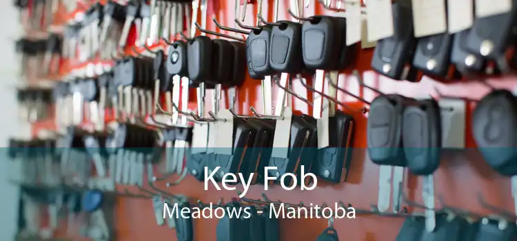 Key Fob Meadows - Manitoba