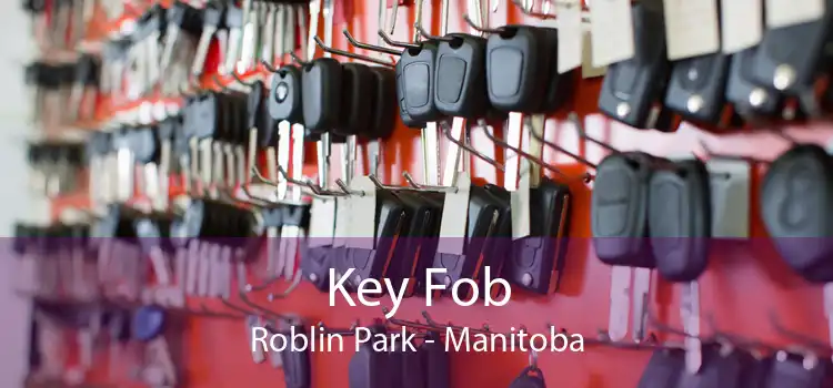 Key Fob Roblin Park - Manitoba