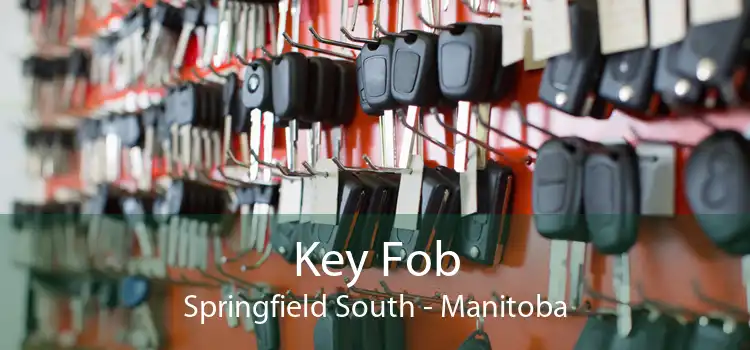 Key Fob Springfield South - Manitoba