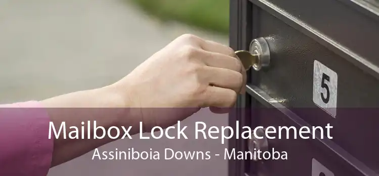 Mailbox Lock Replacement Assiniboia Downs - Manitoba