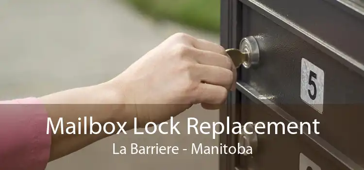 Mailbox Lock Replacement La Barriere - Manitoba