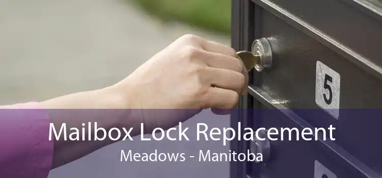 Mailbox Lock Replacement Meadows - Manitoba