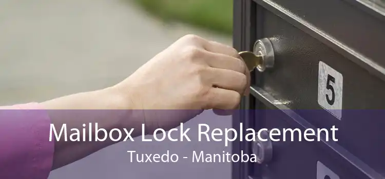 Mailbox Lock Replacement Tuxedo - Manitoba