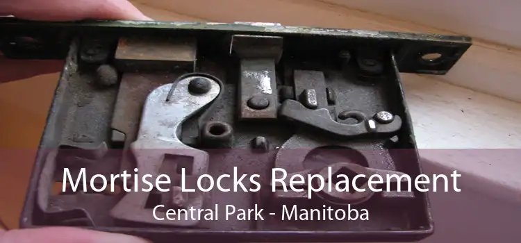 Mortise Locks Replacement Central Park - Manitoba