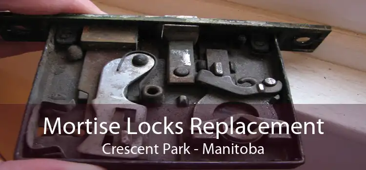Mortise Locks Replacement Crescent Park - Manitoba