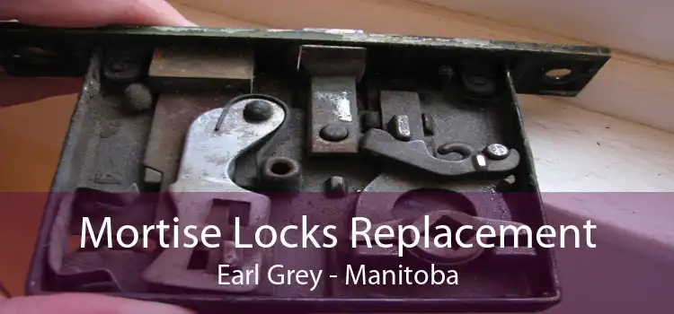 Mortise Locks Replacement Earl Grey - Manitoba