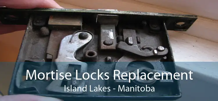 Mortise Locks Replacement Island Lakes - Manitoba