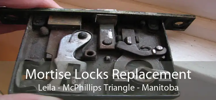 Mortise Locks Replacement Leila - McPhillips Triangle - Manitoba