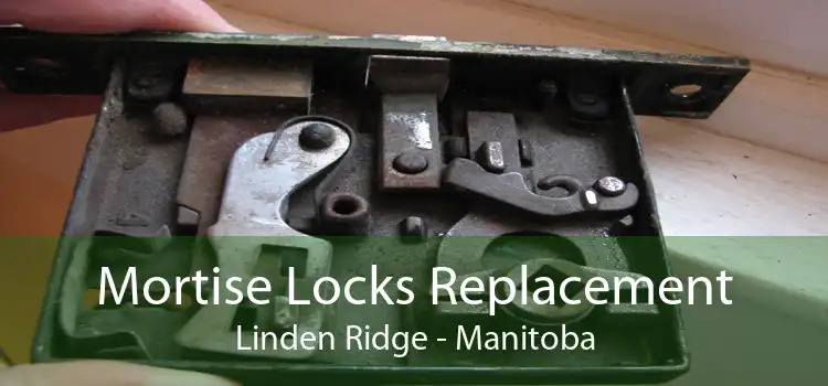 Mortise Locks Replacement Linden Ridge - Manitoba