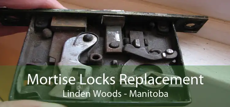 Mortise Locks Replacement Linden Woods - Manitoba