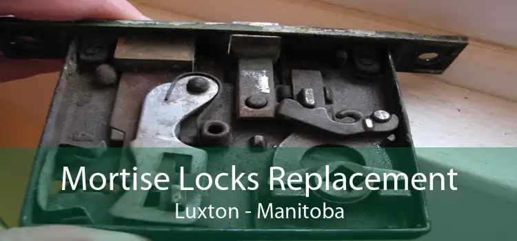 Mortise Locks Replacement Luxton - Manitoba