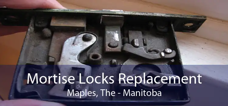 Mortise Locks Replacement Maples, The - Manitoba