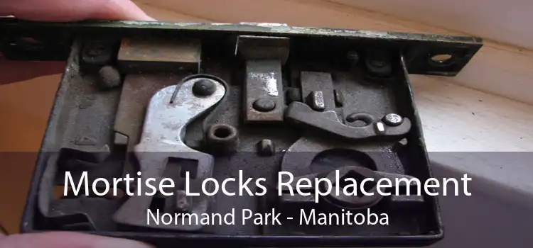Mortise Locks Replacement Normand Park - Manitoba