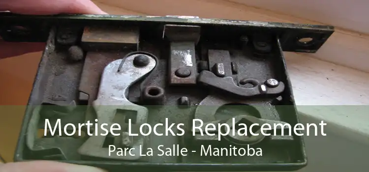 Mortise Locks Replacement Parc La Salle - Manitoba