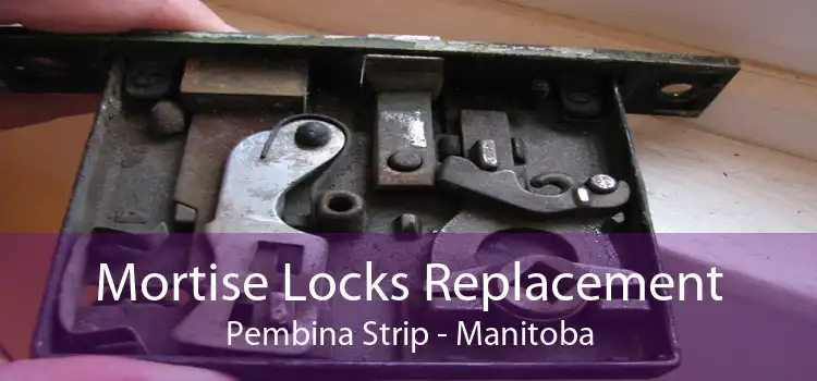 Mortise Locks Replacement Pembina Strip - Manitoba