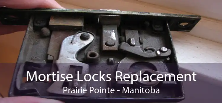 Mortise Locks Replacement Prairie Pointe - Manitoba