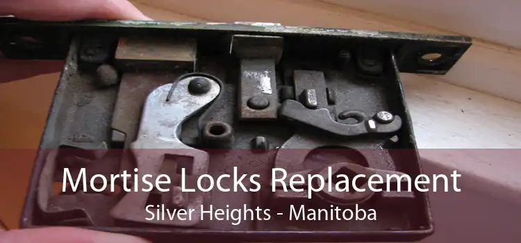 Mortise Locks Replacement Silver Heights - Manitoba