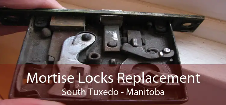 Mortise Locks Replacement South Tuxedo - Manitoba