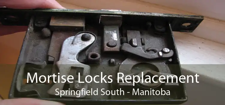 Mortise Locks Replacement Springfield South - Manitoba