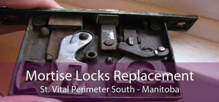 Mortise Locks Replacement St. Vital Perimeter South - Manitoba