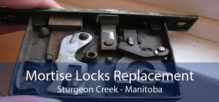Mortise Locks Replacement Sturgeon Creek - Manitoba