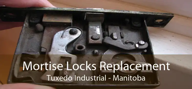 Mortise Locks Replacement Tuxedo Industrial - Manitoba