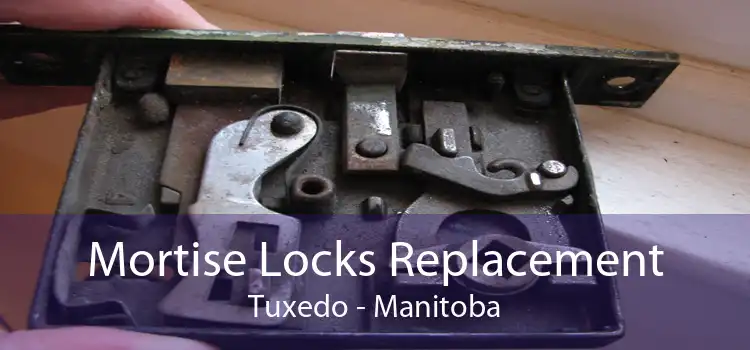 Mortise Locks Replacement Tuxedo - Manitoba