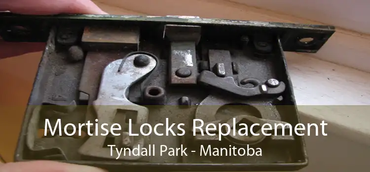 Mortise Locks Replacement Tyndall Park - Manitoba