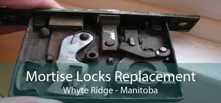 Mortise Locks Replacement Whyte Ridge - Manitoba