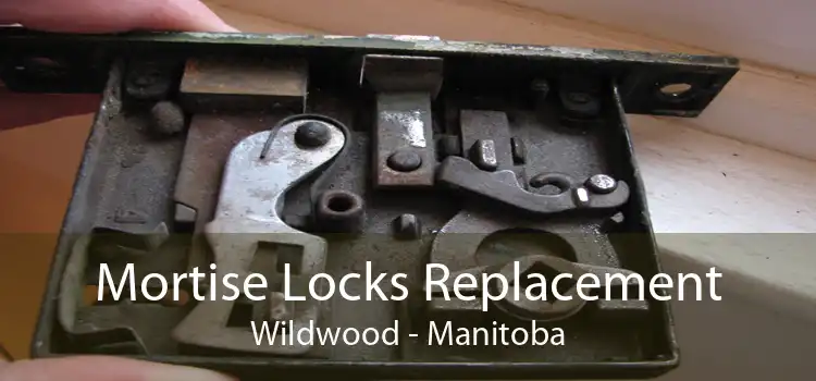 Mortise Locks Replacement Wildwood - Manitoba