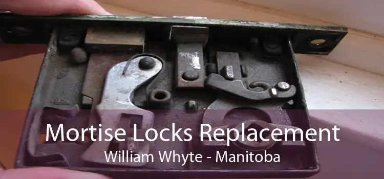 Mortise Locks Replacement William Whyte - Manitoba