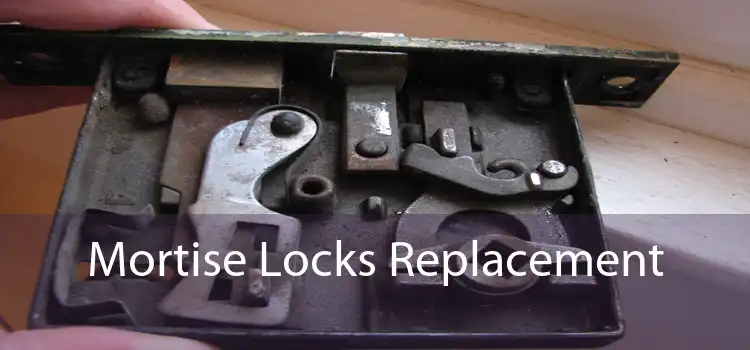 Mortise Locks Replacement 