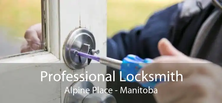 Professional Locksmith Alpine Place - Manitoba