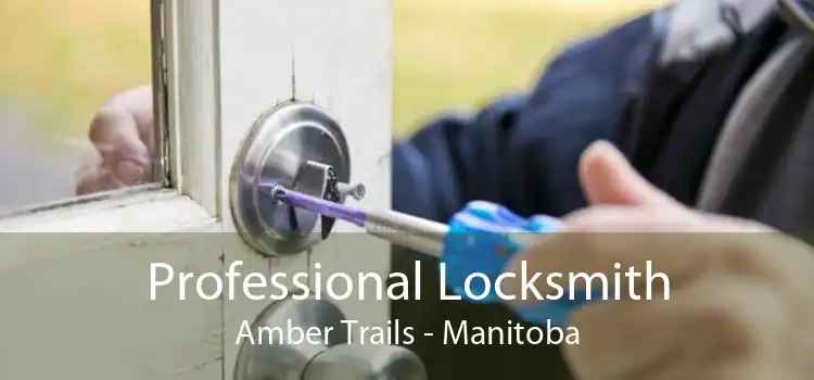 Professional Locksmith Amber Trails - Manitoba