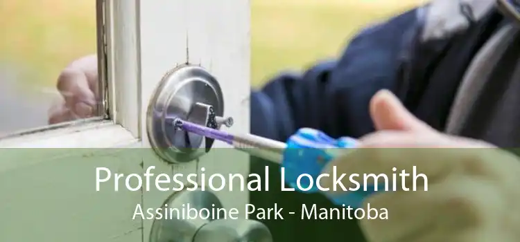 Professional Locksmith Assiniboine Park - Manitoba