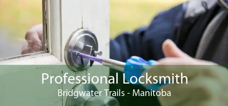 Professional Locksmith Bridgwater Trails - Manitoba