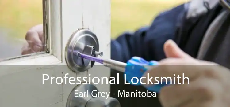 Professional Locksmith Earl Grey - Manitoba