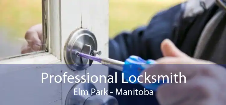 Professional Locksmith Elm Park - Manitoba