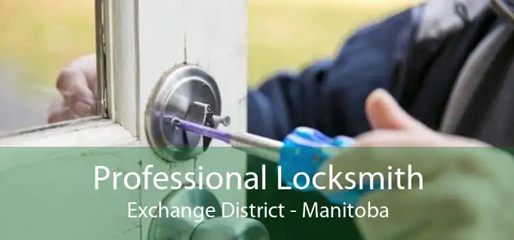 Professional Locksmith Exchange District - Manitoba