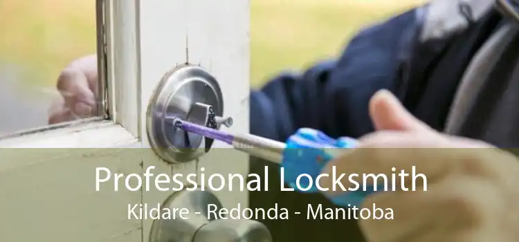 Professional Locksmith Kildare - Redonda - Manitoba